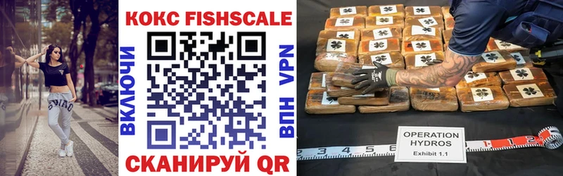 дарнет шоп  Юхнов  Cocaine Fish Scale 