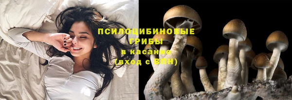 ECSTASY Вязьма