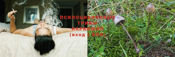 ECSTASY Вязьма