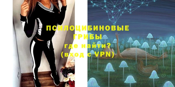 твердый Вязники
